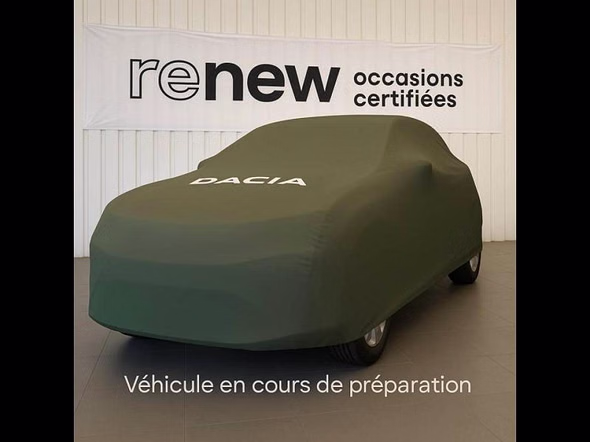 DACIA Spring 65ch Extreme - Vue 2