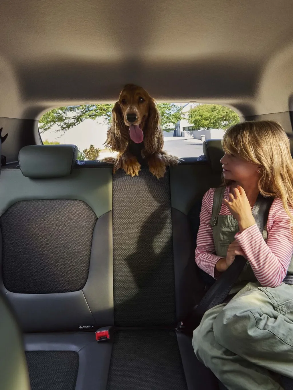 NOUVELLE DACIA SPRING intérieur 5